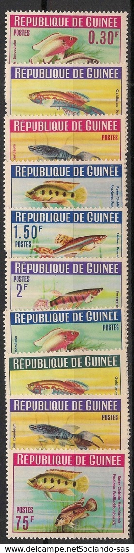 Guinée - 1964 - N°Yv. 177 à 186 - Poissons - Neuf Luxe ** / MNH / Postfrisch - Guinea (1958-...)