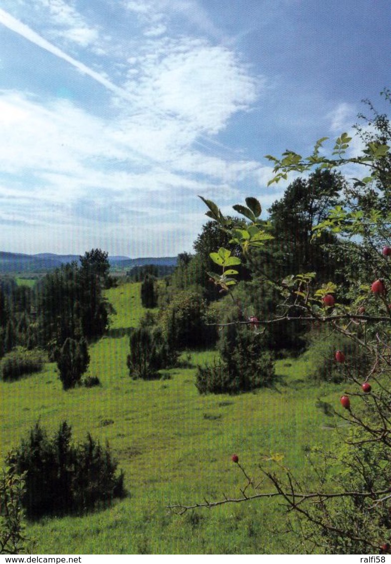 1 Map Of Germany * Landkarte Von Bayern Mit Dem Naturpark Hirschwald - Vorne Eine Landschaft Des Naturparks * - Landkarten