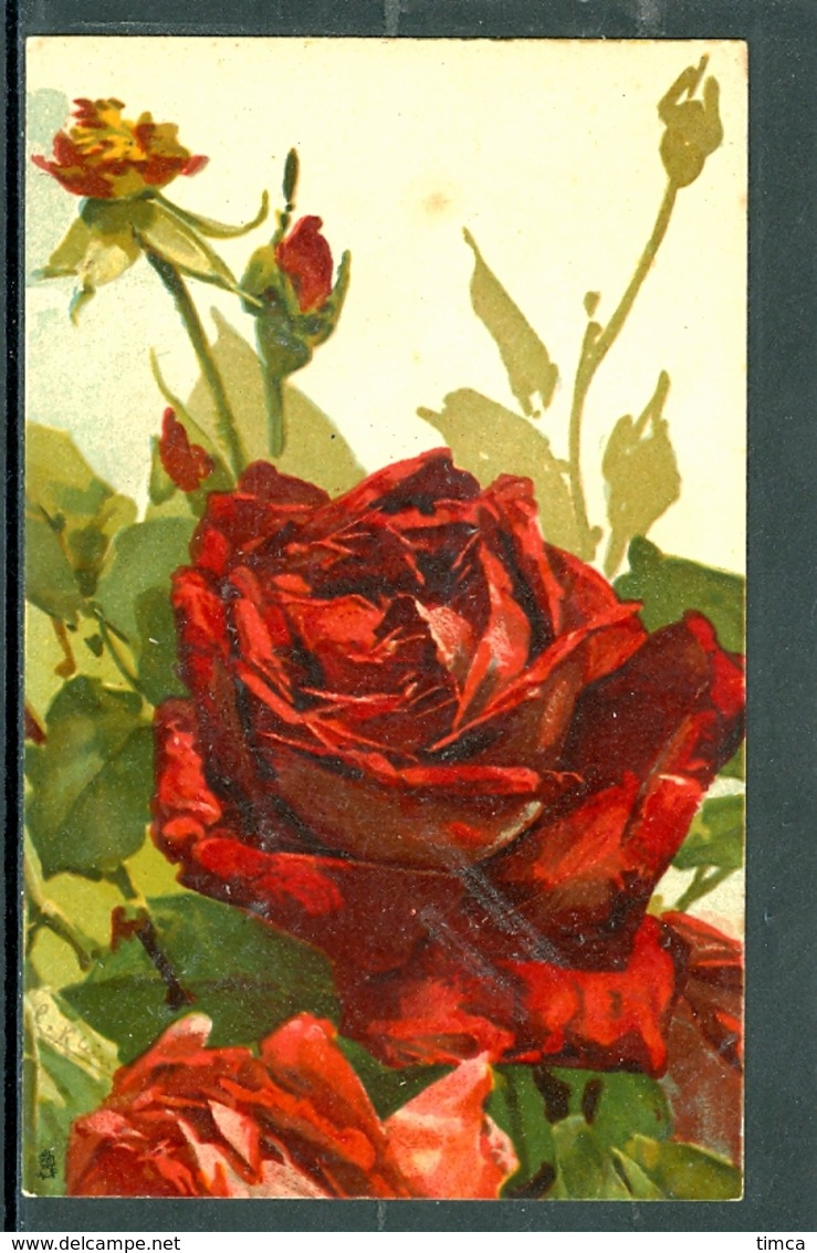 20673 - Catharina Klein (1861-1929) - Fleurs - Rose Rouge Avec Boutons  - Raphaël Tuck, Série 800 - Klein, Catharina