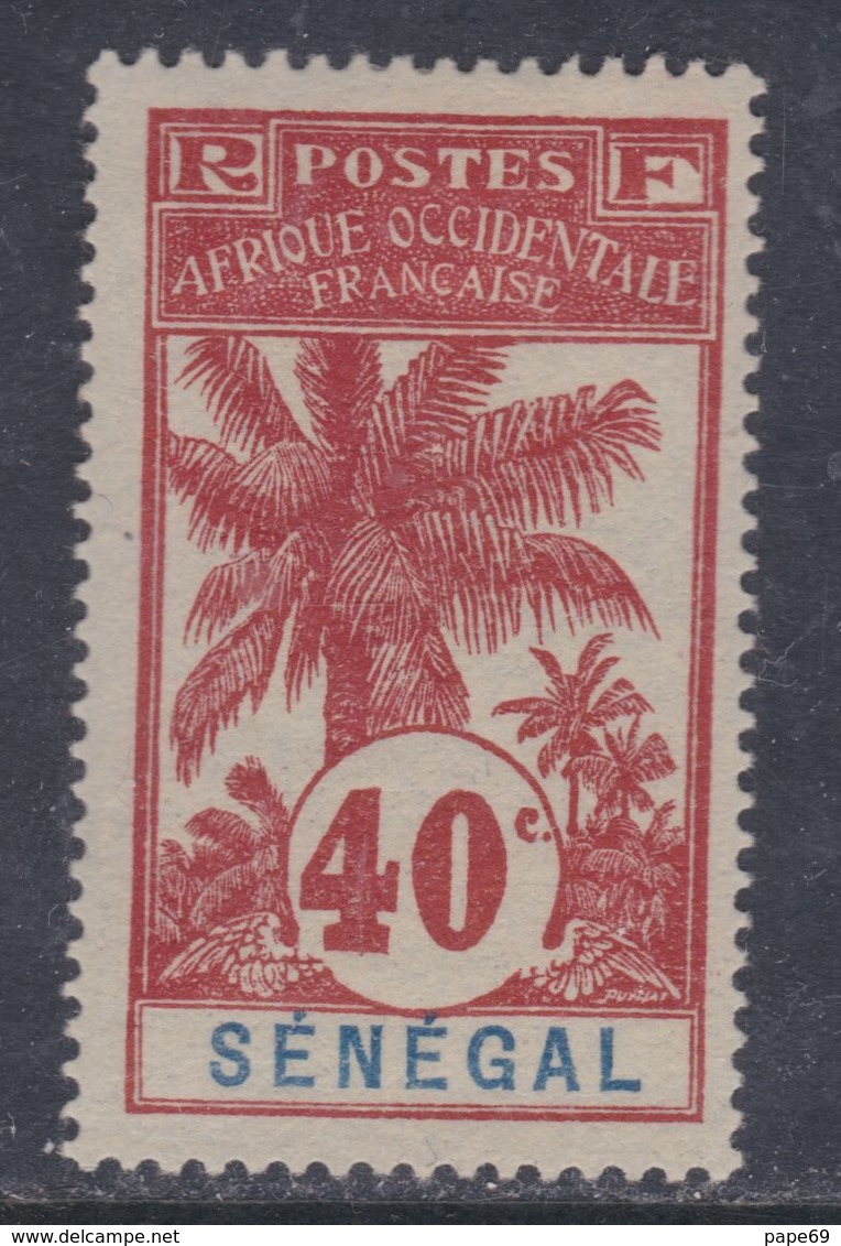 Sénégal  N° 40 X Type Palmiers : 40 C. Rouge Sur Gris Trace De Charnière  Sinon TB - Nuovi