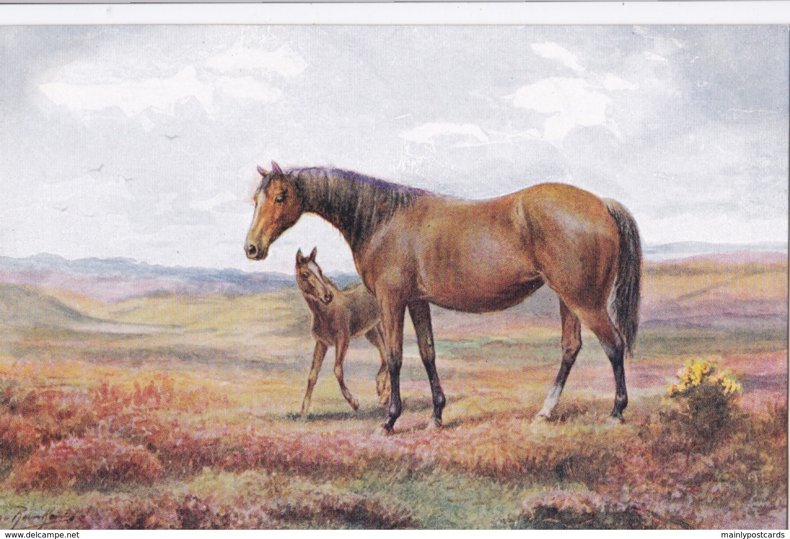 AS73 Animals - Horses - Horse With Foal - Artist Signed - Chevaux