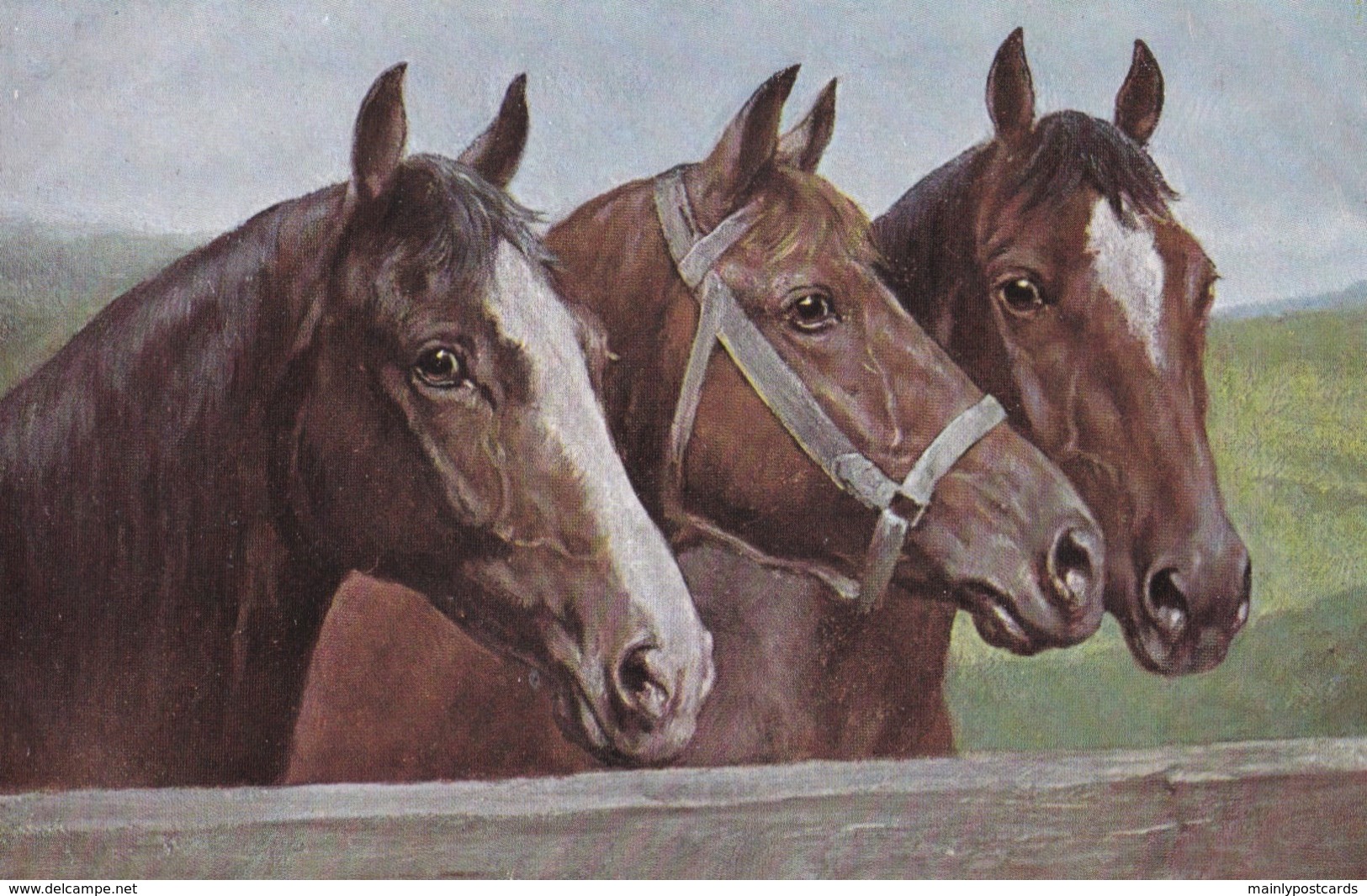 AS73 Animals - Horses - 3 Brown Horses - Tuck Oilette - Chevaux