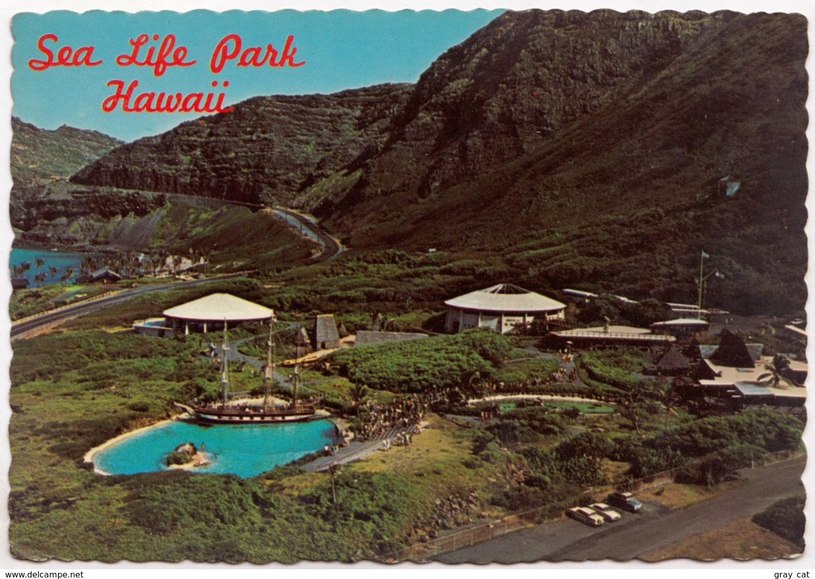 Sea Life Park, Hawaii, Unused Postcard [23395] - Oahu