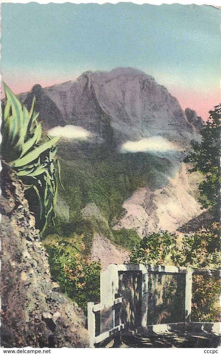 CPSM Cilaos - Réunion Les Chênes Et Le Piton Des Neiges - Reunion