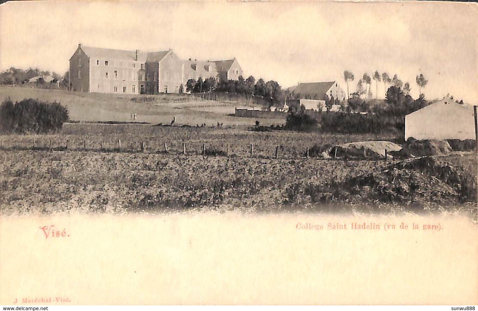 Visé - Collège Saint Hadelin (vu De La Gare) - Visé