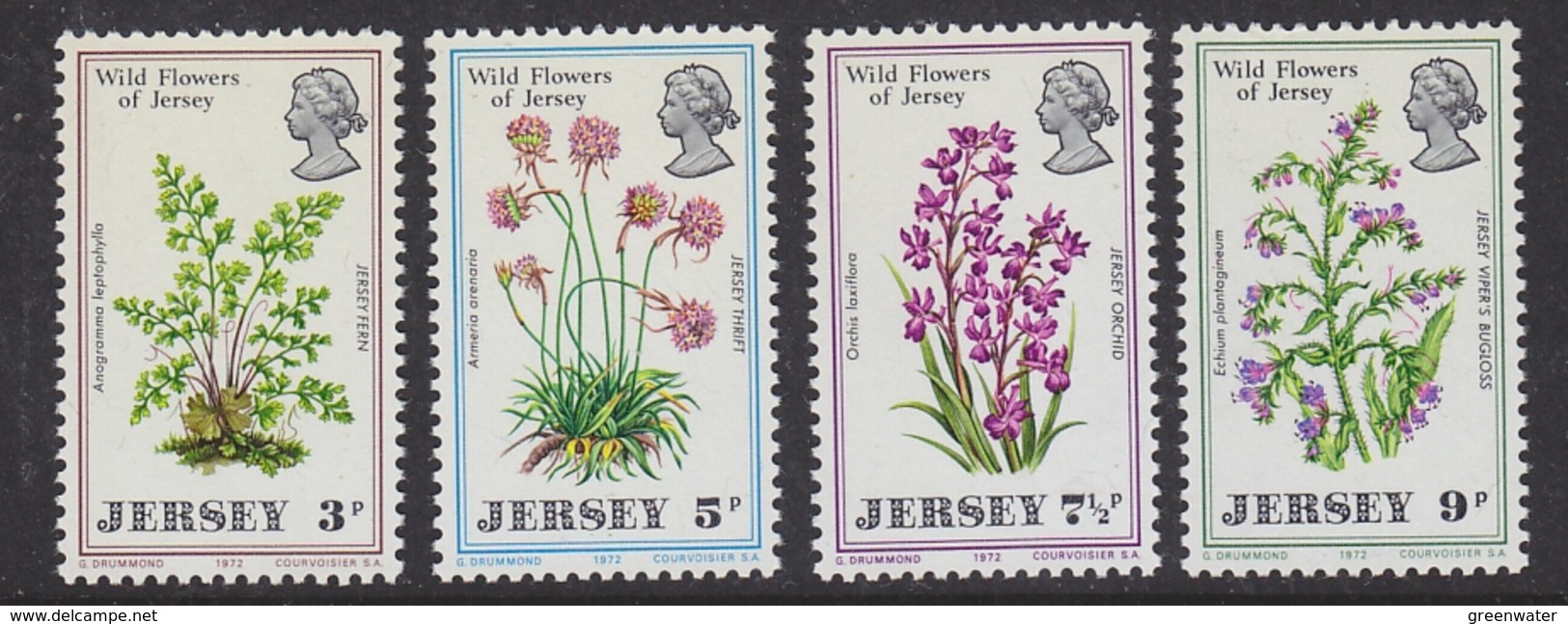 Jersey 1972 Wild Flowers 4v ** Mnh (44010 ) - Jersey