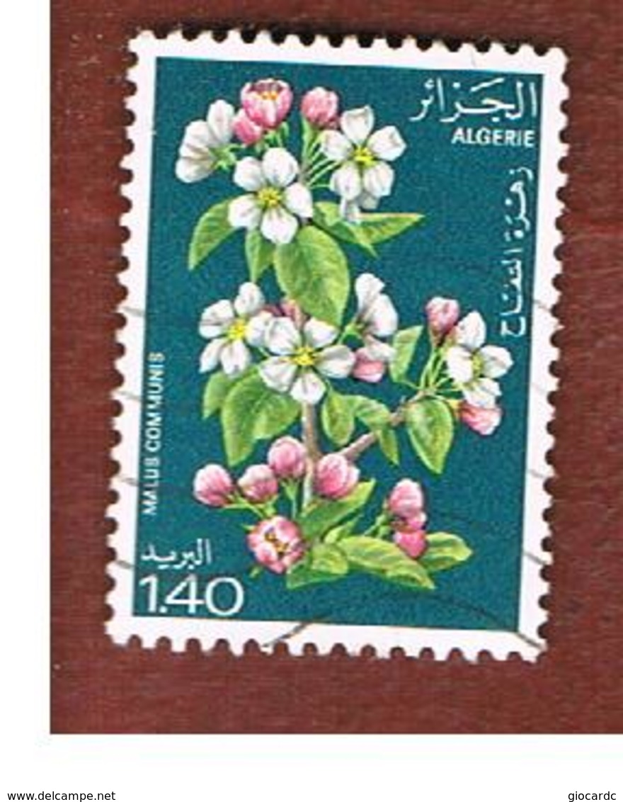 ALGERIA - SG 737 -  1978 FRUIT TREE BLOSSOM: APPLE - USED ° - Argelia (1962-...)