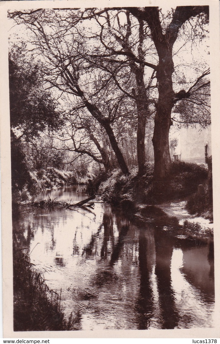 13 /MARIGNANE / SOUS BOIS / BORDS DE LA CADIERE - Marignane