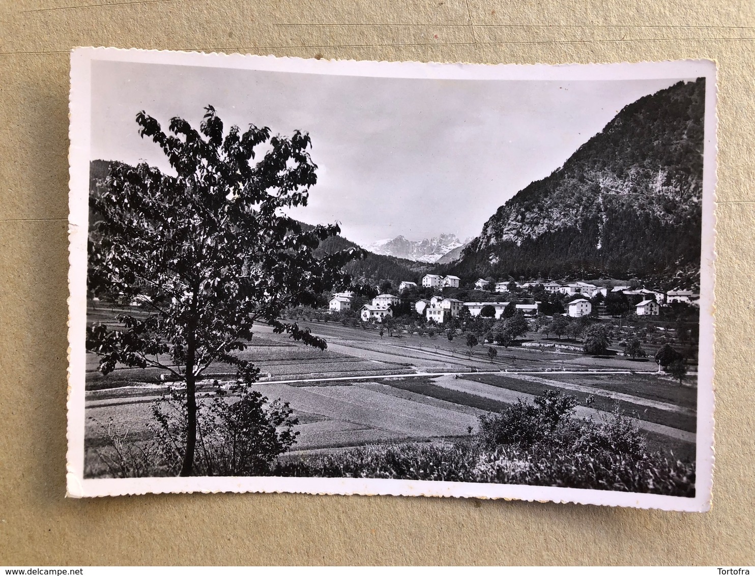 FAI DELLA PAGANELLA MOTIVO VERSO LE DOLOMITI DI BRENTA 1965 - Trento