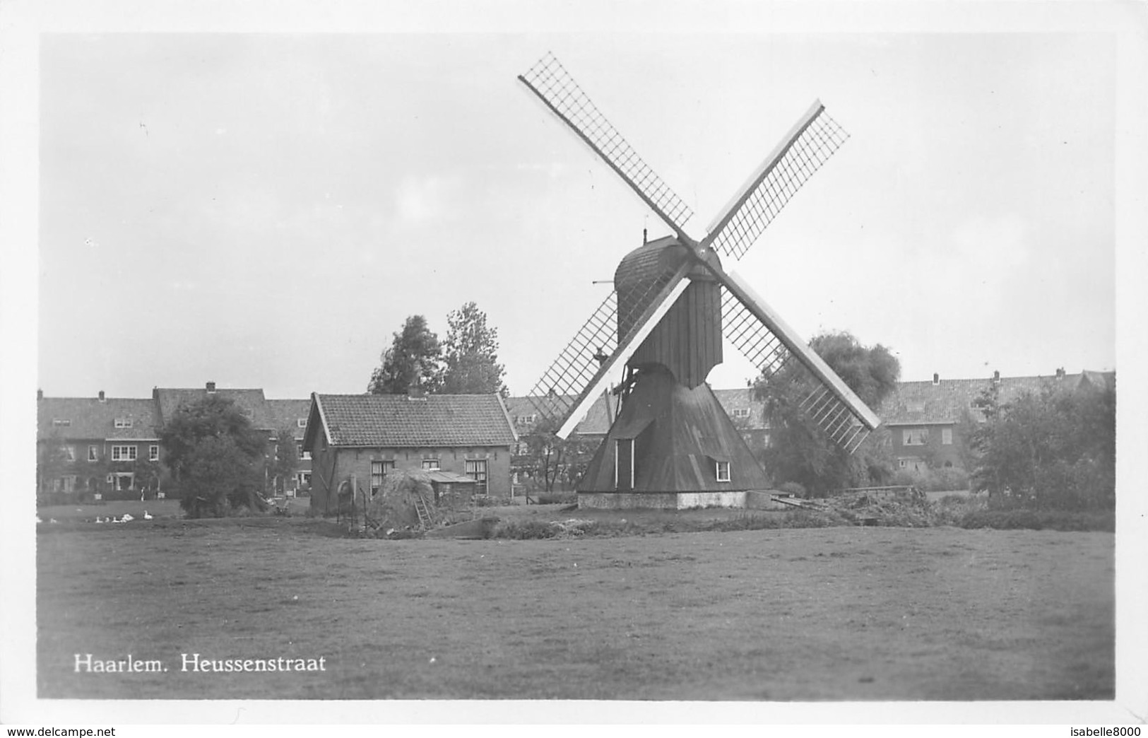 Nederland Haarlem  Heussenstraat  Molen De Koekoek  Molen Windmühle - Windmolen - Moulin à Vent Fotokaart L 462 - Haarlem