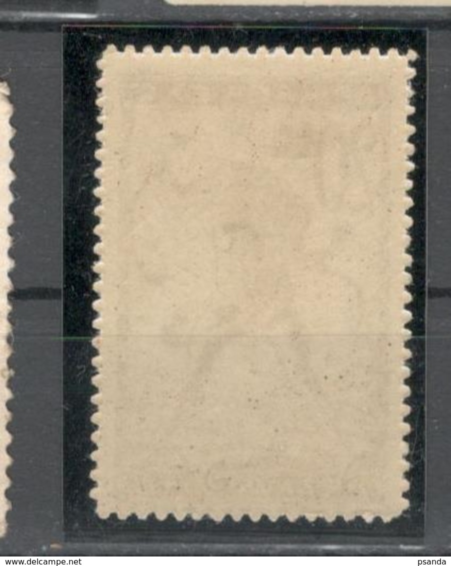1919 S.H.S.YUGOSLAVIA -  SLOVENIA - VERIGARJI -  20 Vin.  MNH**. Dark Brown, Typography - Nuovi
