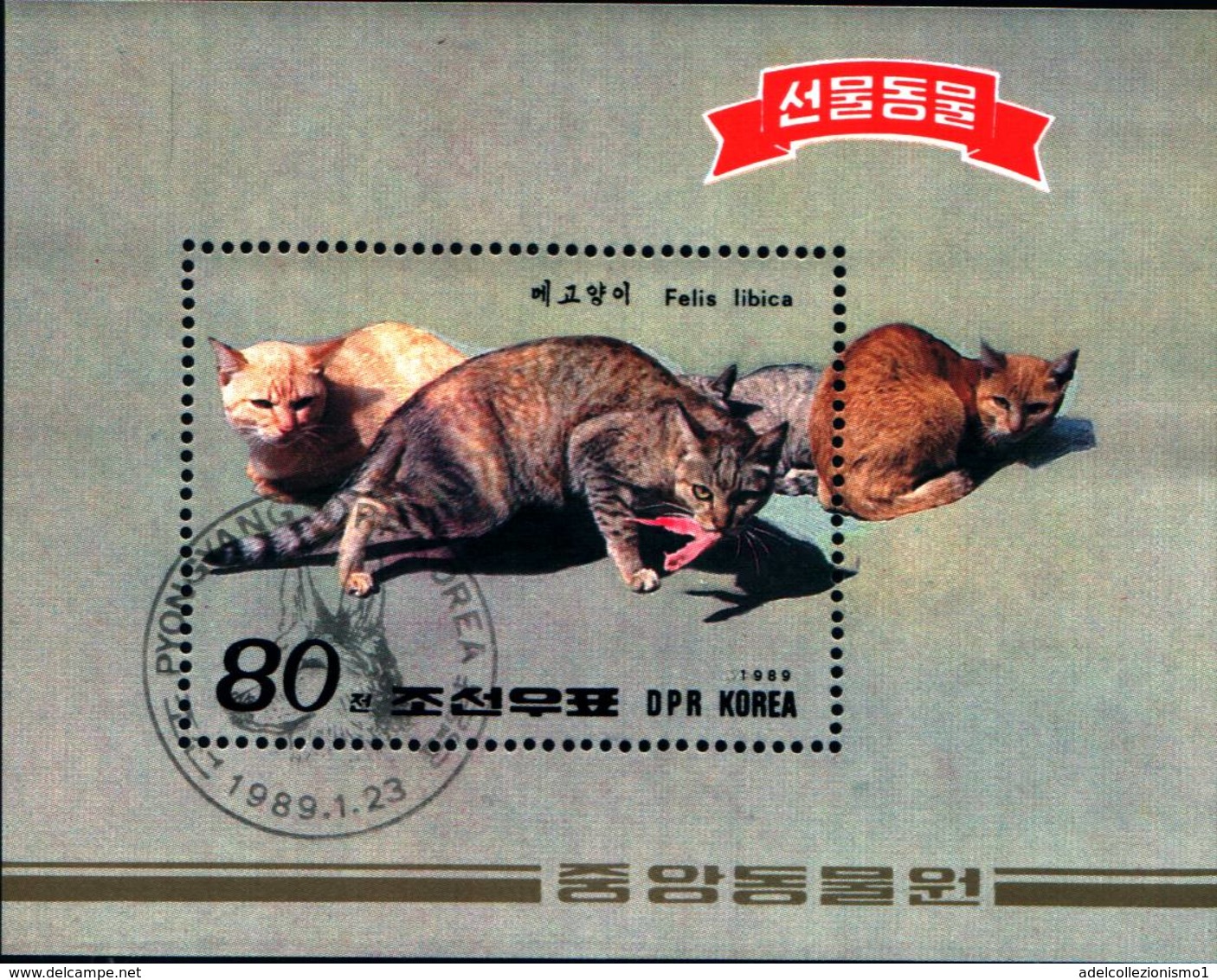 6385b) Corea Fauna GATTI-Gatos Hojita Del Año 1989-USATO - Corea Del Sud