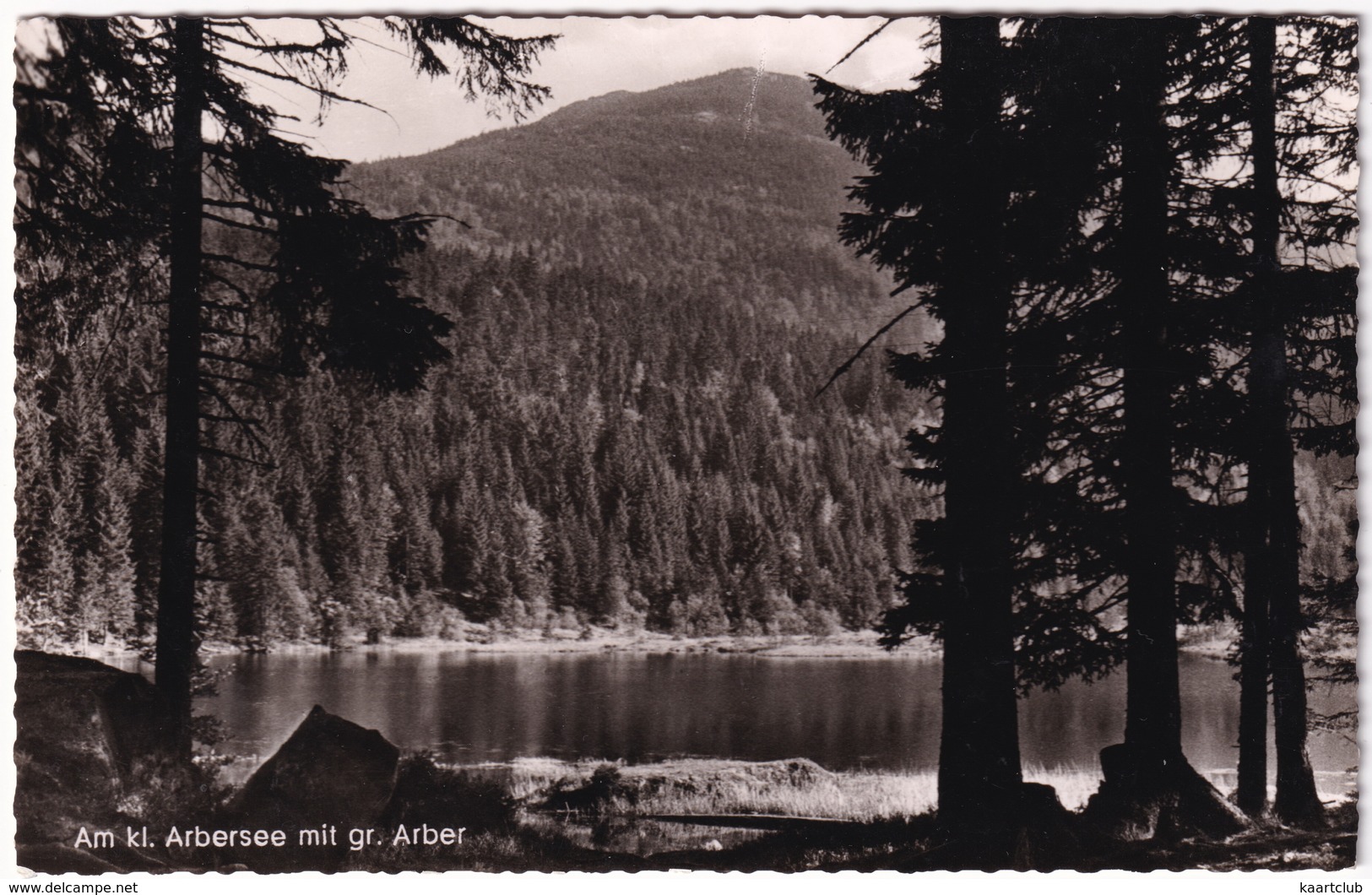 Am Kl. Arbersee Mit Gr. Arber - Cham