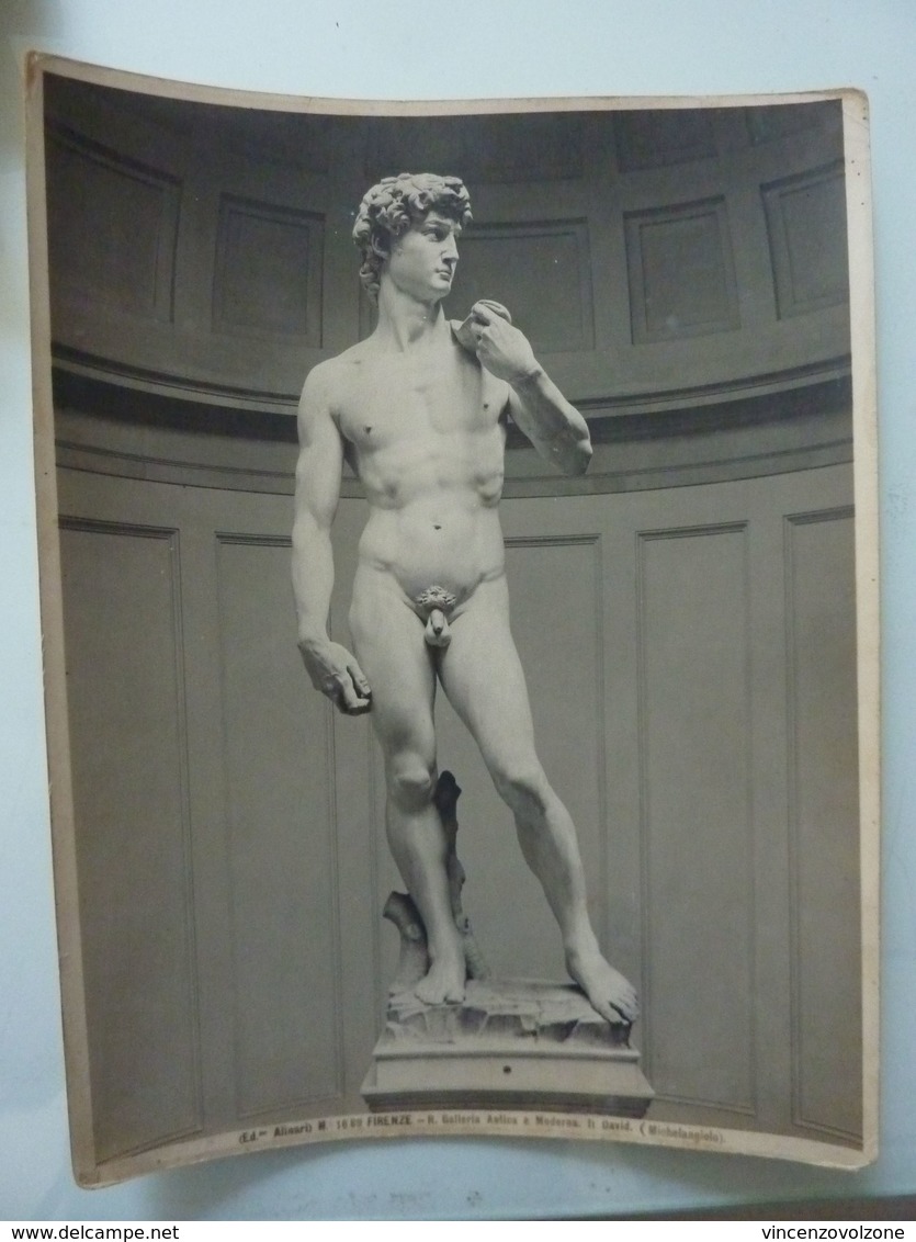 Fotografia "FIRENZE - R. GALLERIA ANTICA E MODERNA - Il David  ( Michelangiolo )"  Edizioni Alinari Anni '30 - Orte