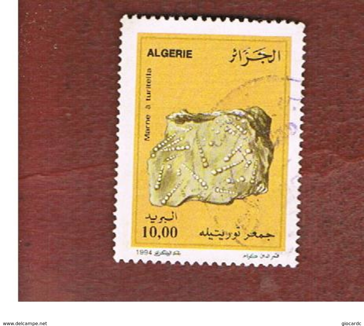 ALGERIA - SG 1150 -  1994  MINERALS :TURITELLA SHELLS  - USED ° - Algerien (1962-...)