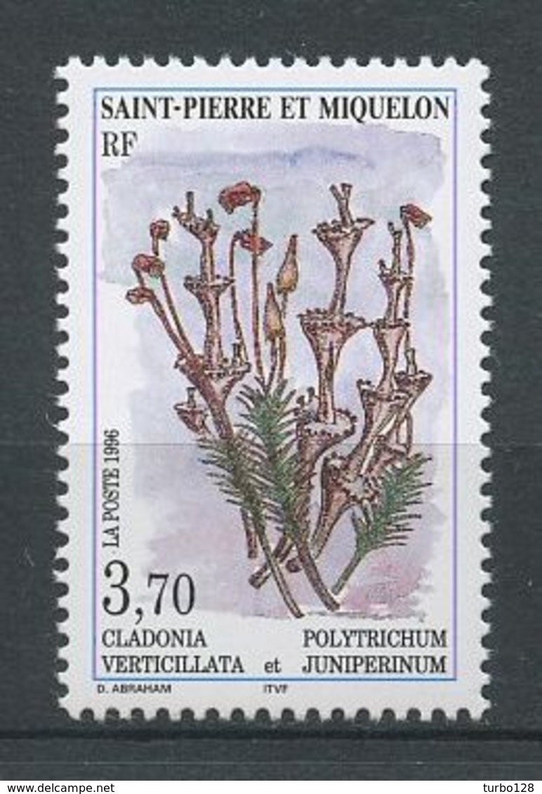 SPM Miquelon 1996 N° 626 ** Neuf MNH Superbe  C 2 €  Flore Flowers Mousses Et Lichens Cladonia Verticillata Polytrichum - Ungebraucht