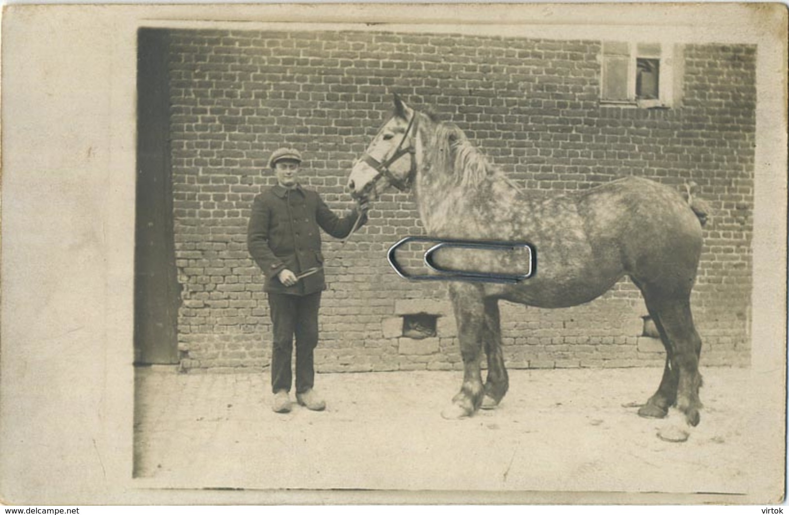 Mann Mit Pferd - Man Met Paard - Homme à Cheval - Man With Horse   ( Photo Card ) - Photographie