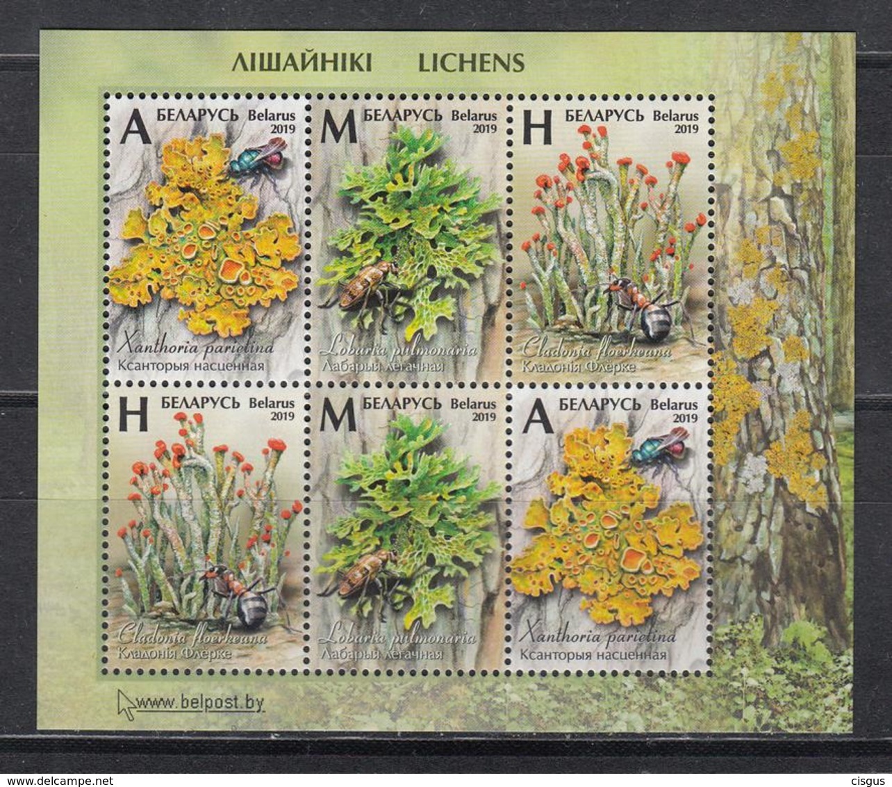 Belarus Weissrussland MNH** 2019 Lichens   Mi 1303-05 Bl.177 - Belarus