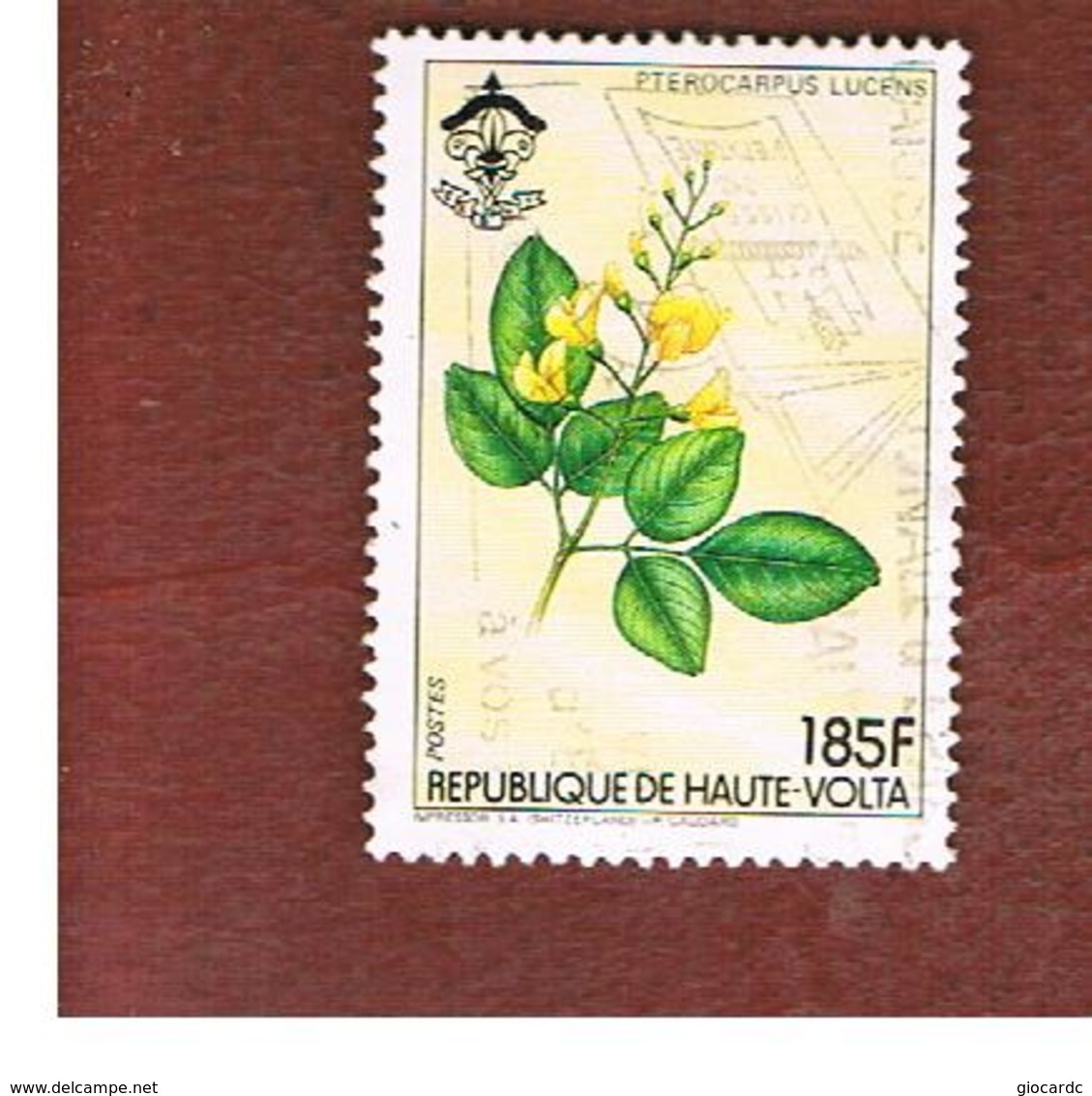 ALTO VOLTA  (UPPER VOLTA) - SG 717  -  1984  FLOWERS: PTEROCARPUS  LUCENS          -  USED - Alto Volta (1958-1984)