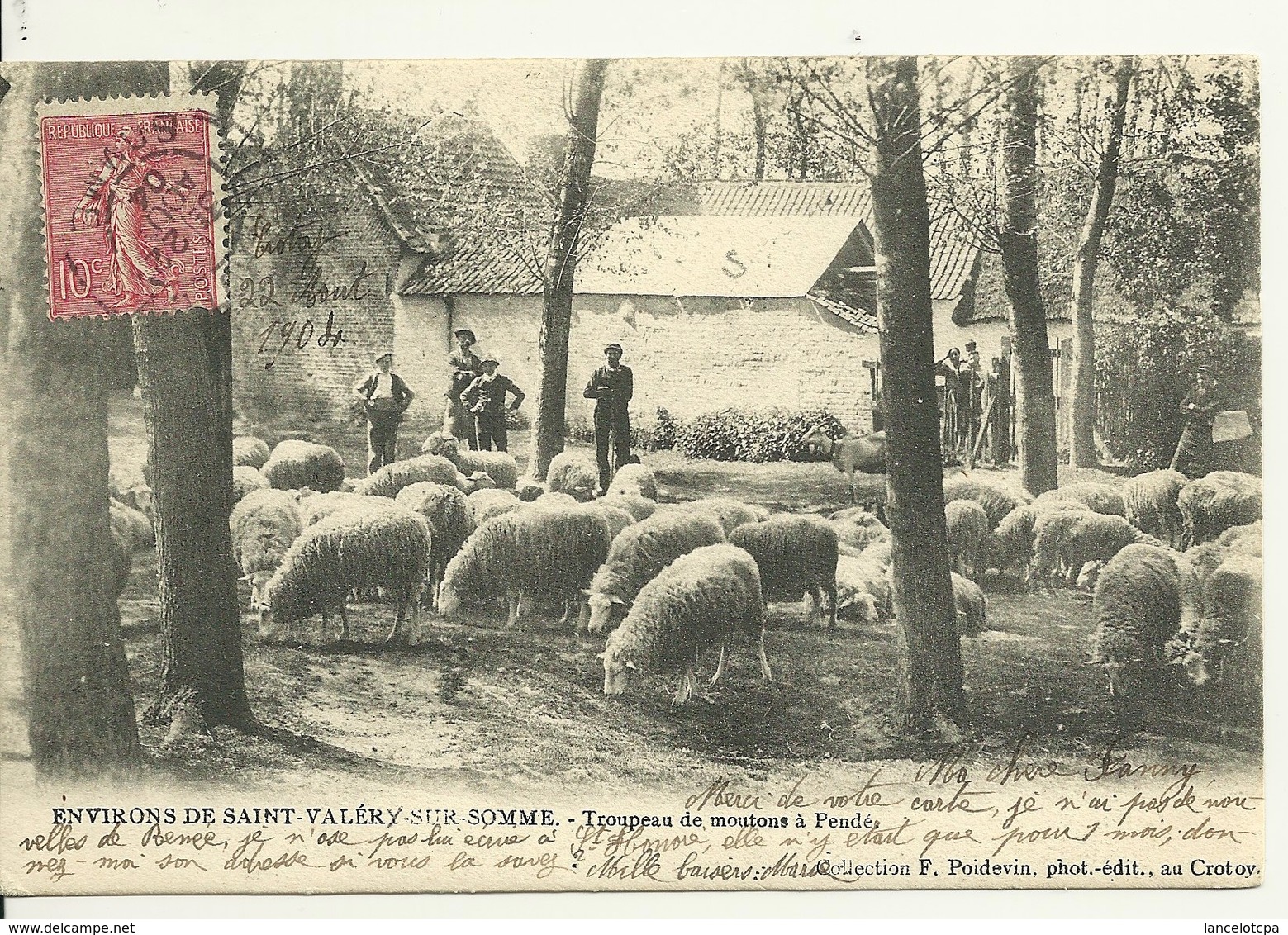 80 - ENV. SAINT VALERY SUR SOMME / TROUPEAU DE MOUTONS à PENDE - Saint Valery Sur Somme