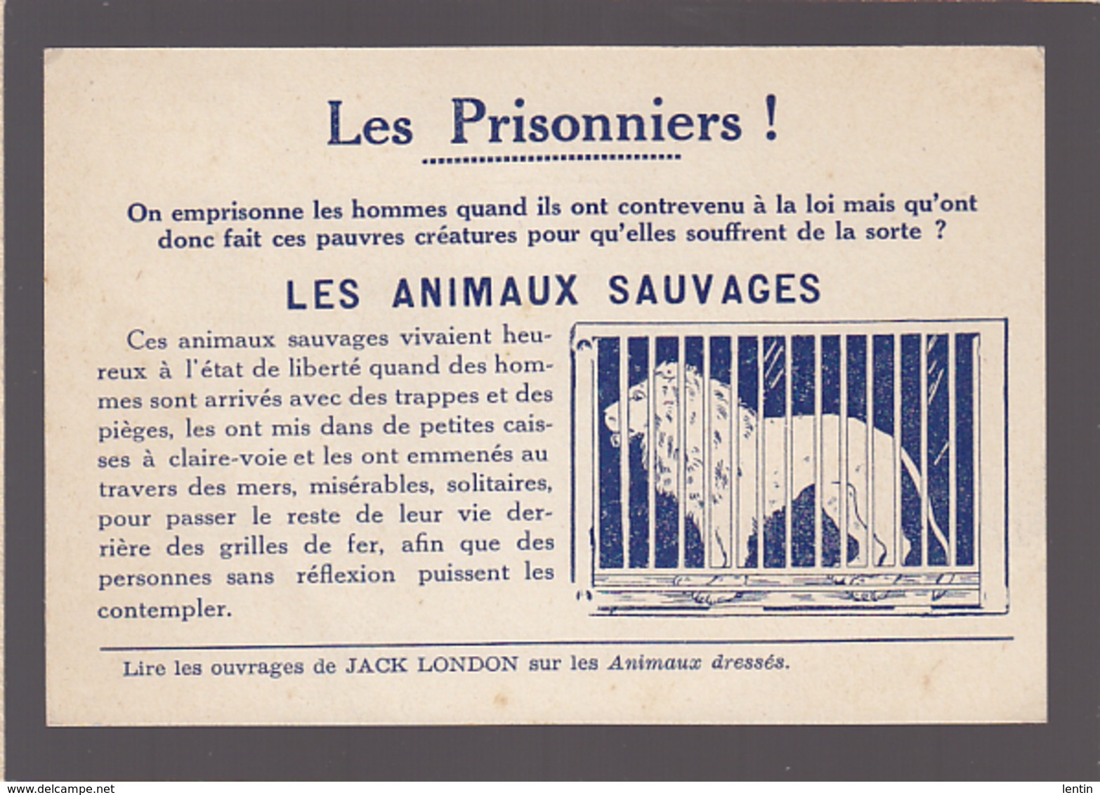 Protection Des Animaux Sauvages / Contre Les Animaux En Cage / Carte éditée Autour De 1920 - Altri & Non Classificati