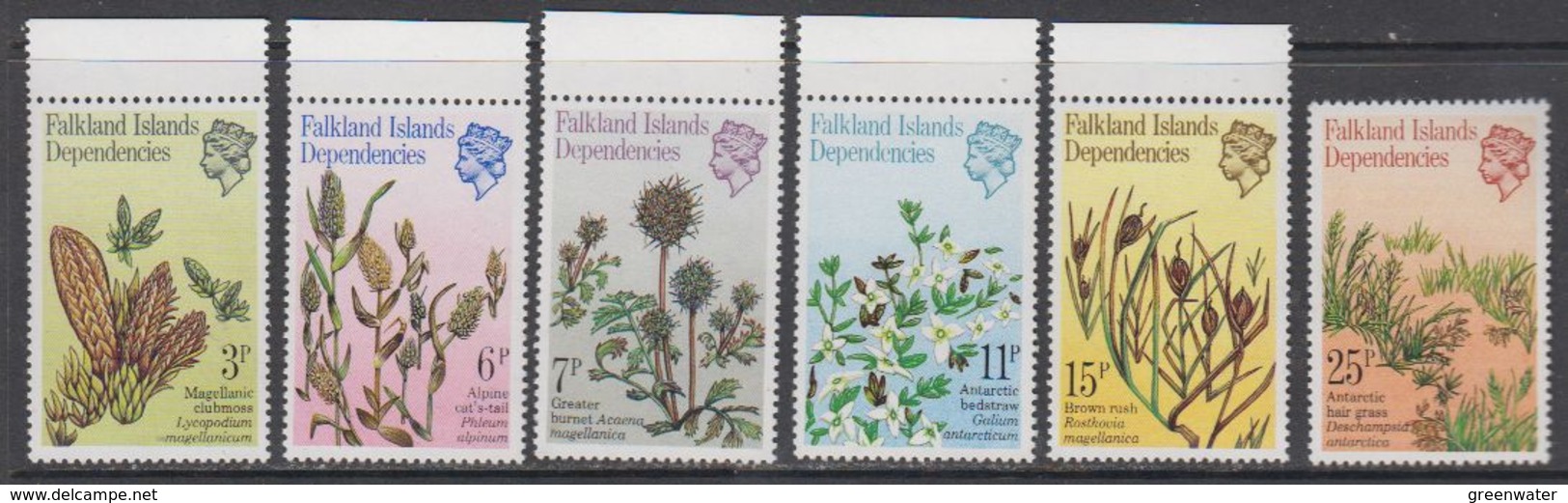 Falkland Islands Dependencies (South Georgia) 1981 Plants 6v ** Mnh (44028) - Zuid-Georgia