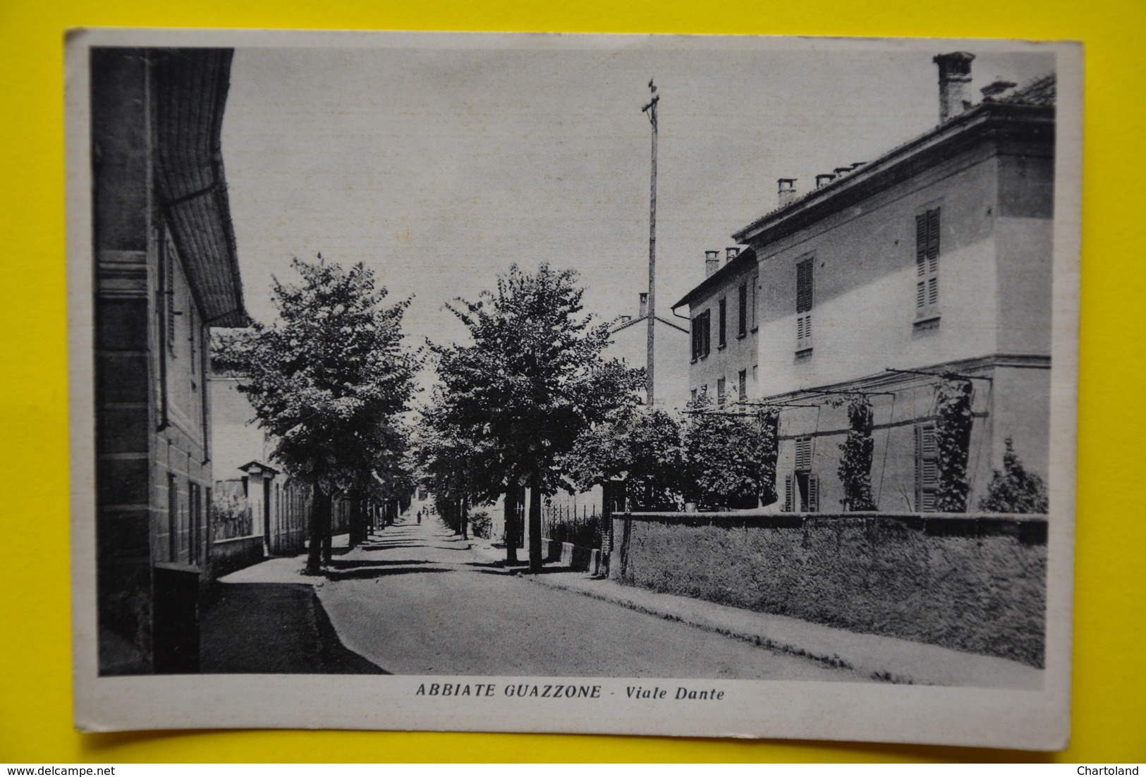 Cartolina Abbiate Guazzone Viale Dante 1950 - Varese