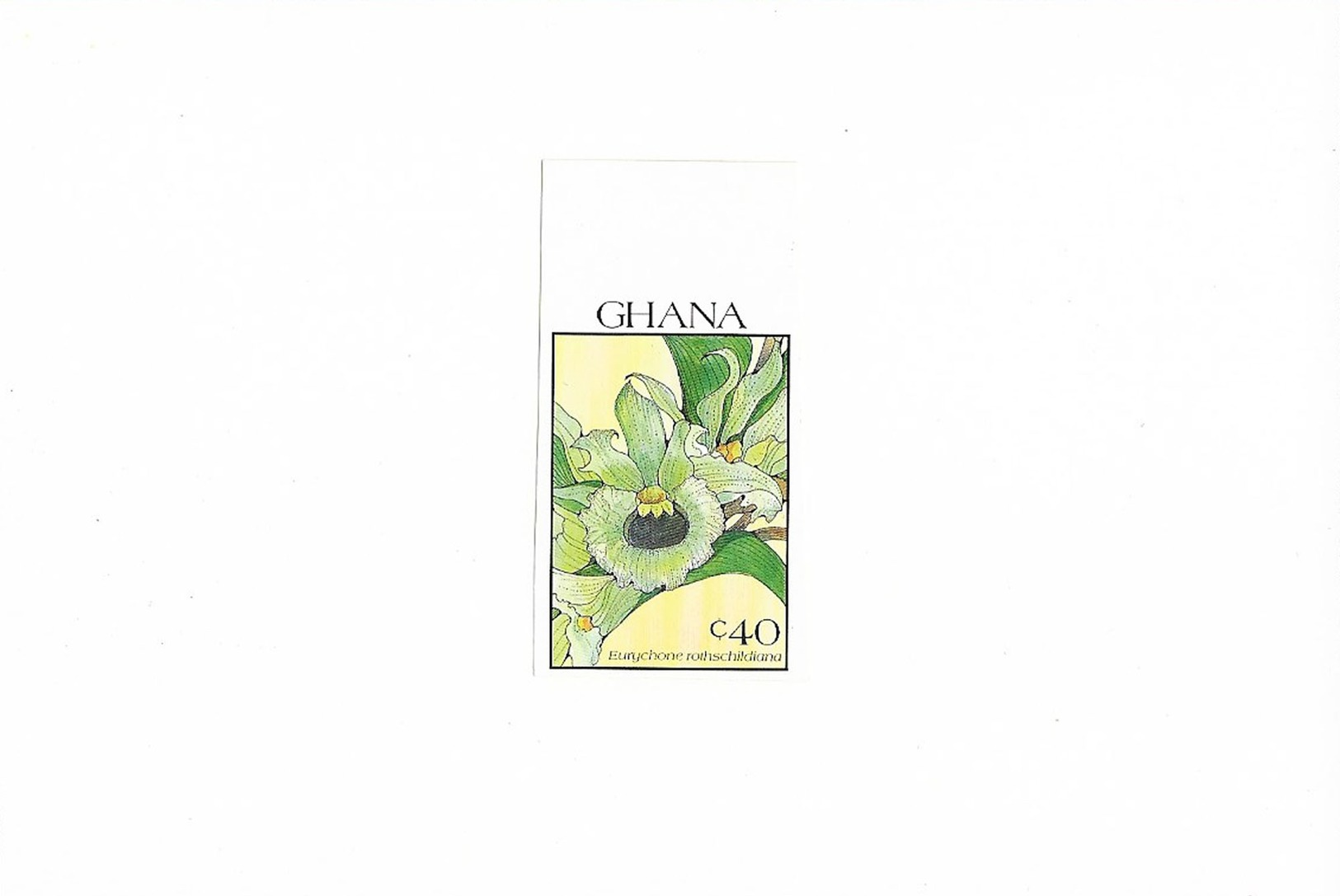 Ref 4 - Ghana 1990 MNH Plants Flowers Orchids Fleurs Orchidées Blumen - Proofs Imperforated Stamps Mounted On Card - Orchids