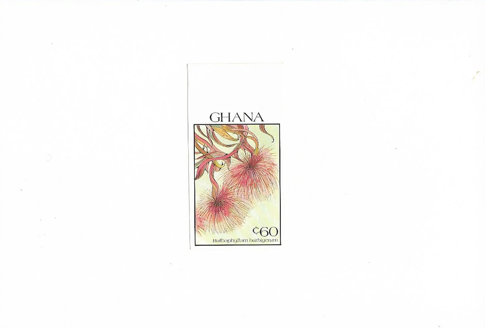 Ref 4 - Ghana 1990 MNH Plants Flowers Orchids Fleurs Orchidées Blumen - Proofs Imperforated Stamps Mounted On Card - Orchids