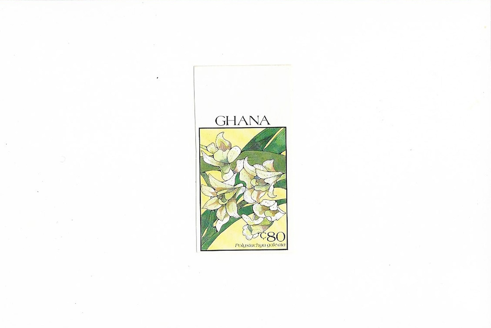 Ref 4 - Ghana 1990 MNH Plants Flowers Orchids Fleurs Orchidées Blumen - Proofs Imperforated Stamps Mounted On Card - Orchids