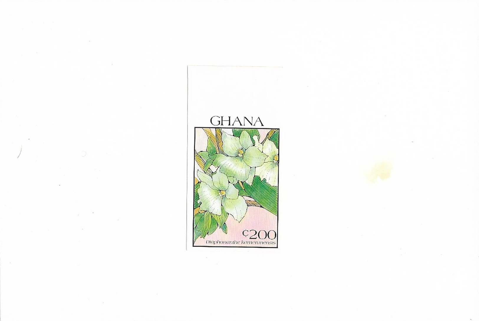 Ref 4 - Ghana 1990 MNH Plants Flowers Orchids Fleurs Orchidées Blumen - Proofs Imperforated Stamps Mounted on Card