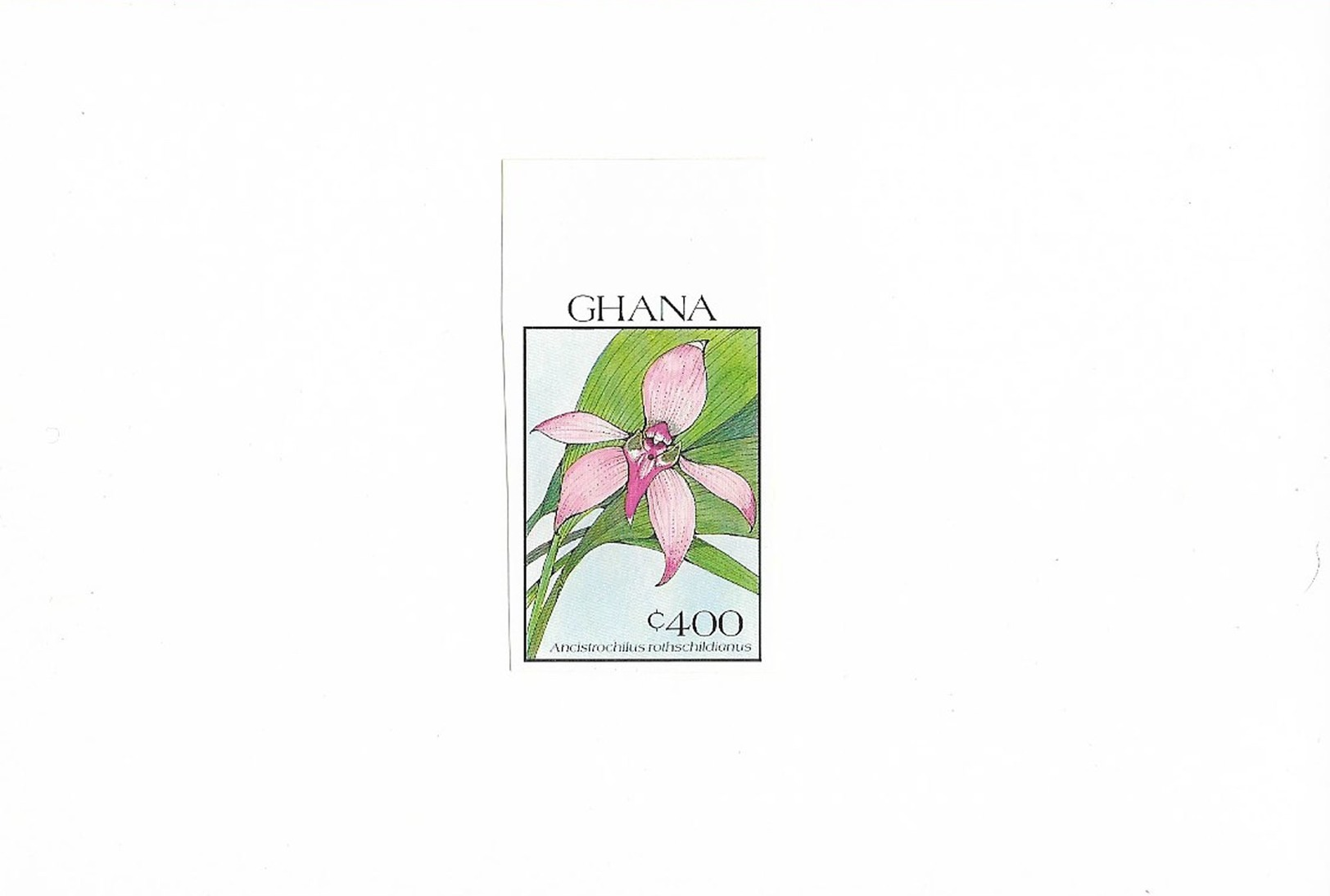 Ref 4 - Ghana 1990 MNH Plants Flowers Orchids Fleurs Orchidées Blumen - Proofs Imperforated Stamps Mounted on Card