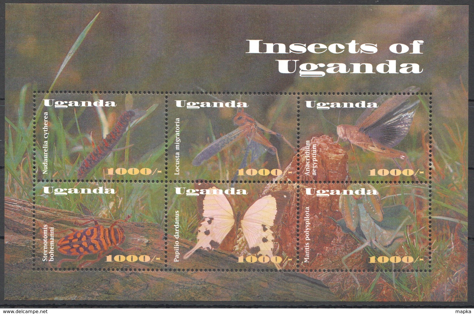 J570 UGANDA FAUNA INSECTS OF UGANDA PAPILIO 1KB MNH - Other & Unclassified