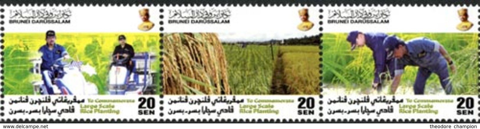 BRUNEI Culture Du Riz à Grande échelle 3v 2011-2012 Neuf ** MNH - Brunei (1984-...)