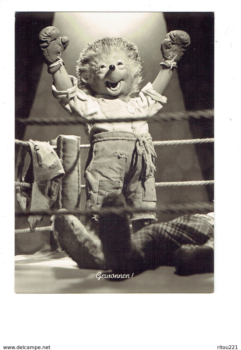 Cpsm HÉRISSON - MECKI - Boxe Boxeur Ring - ANIMAUX Humanisés - Mecki