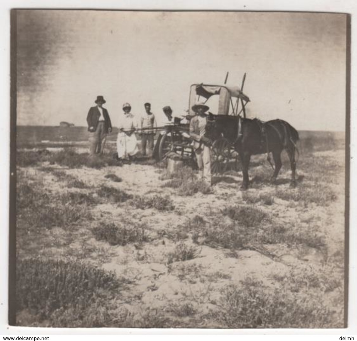 ABAA Photo Originale Rouiba  Algerie Famille Bertrand  Ferme Le Clos Des Mimosas Attelage - Lieux