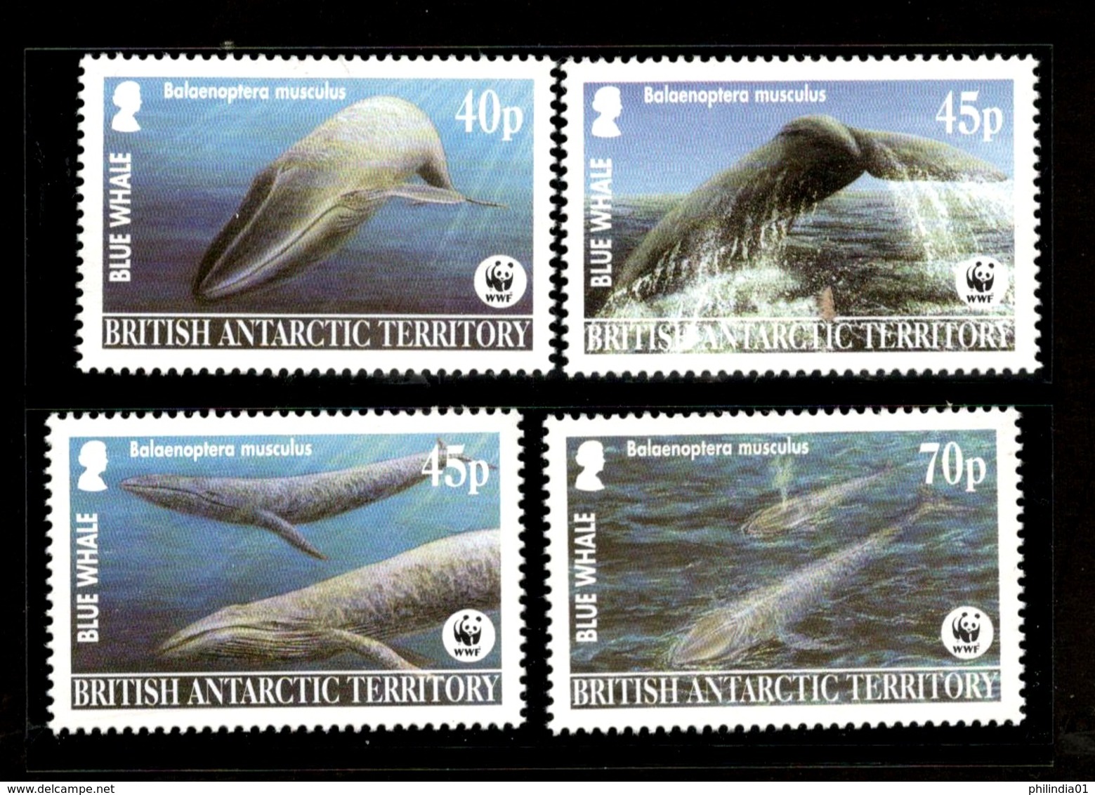 British Antarctic Territory 2003 WWF Blue Whale Fish Marine Life Sc 326 MNH 334 - Unused Stamps