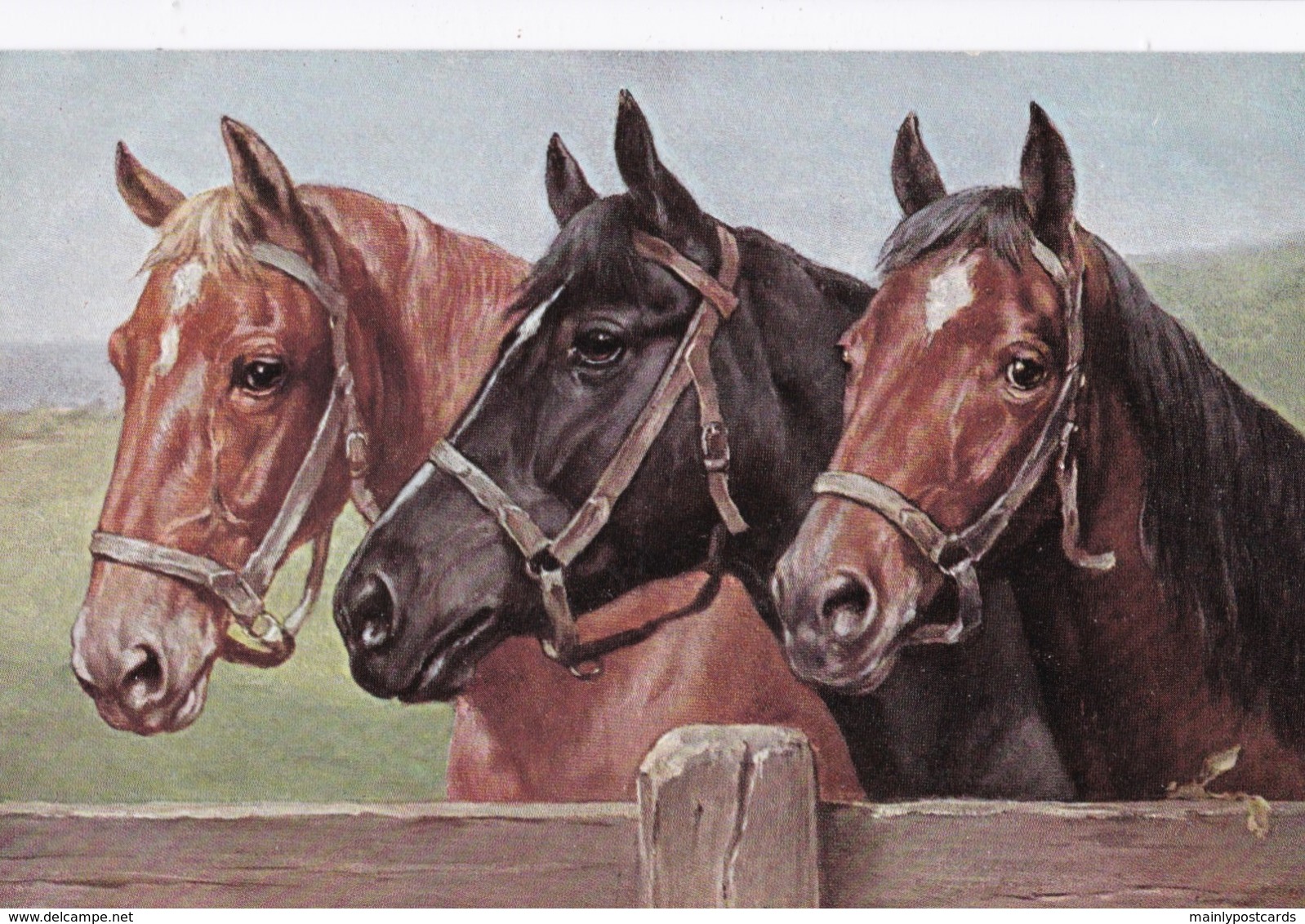 AS74 Animals - Horses - 3 Horses In A Field - Tuck Oilette - Horses