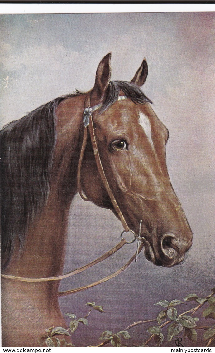 AS74 Animals - Horses - Brown Horse's Head - Artist Signed CR, Tuck Oilette - Cavalli