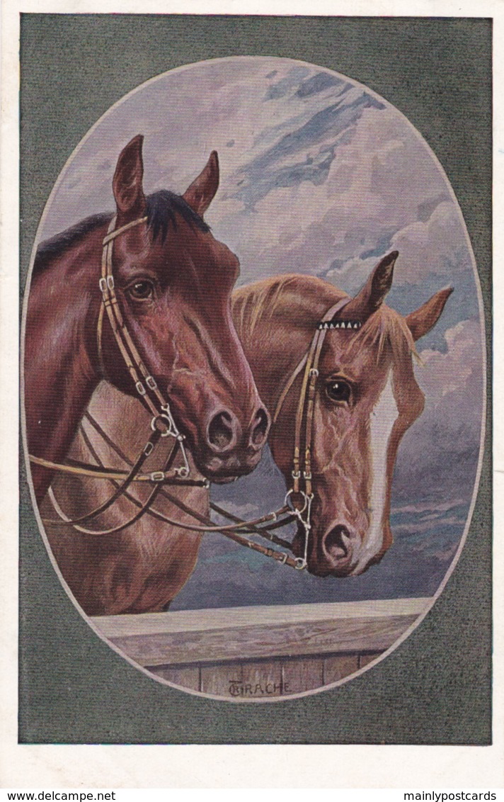 AS74 Animals - Horses - 2 Horses - Oval Framed Postcard - Chevaux