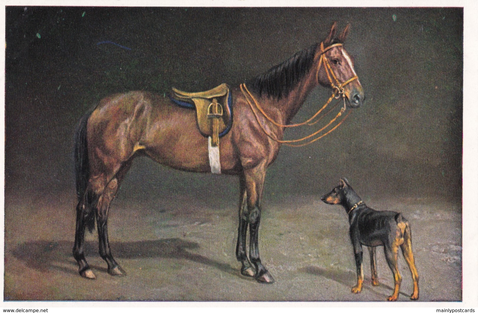 AS74 Animals - Horses - Brown Horse With Doberman Dog - Chevaux