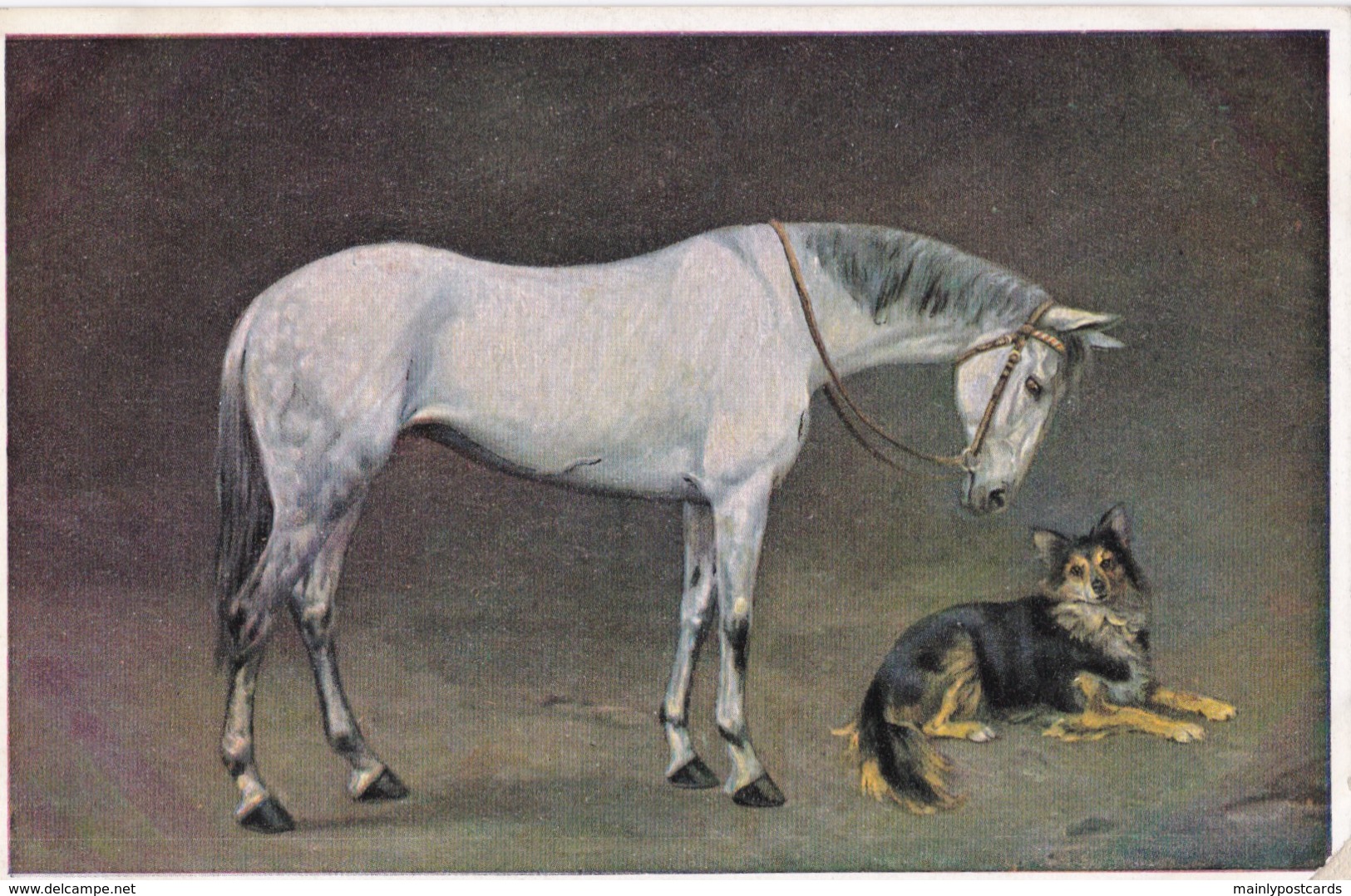 AS74 Animals - Horses - White Horse With Collie Dog - Paarden
