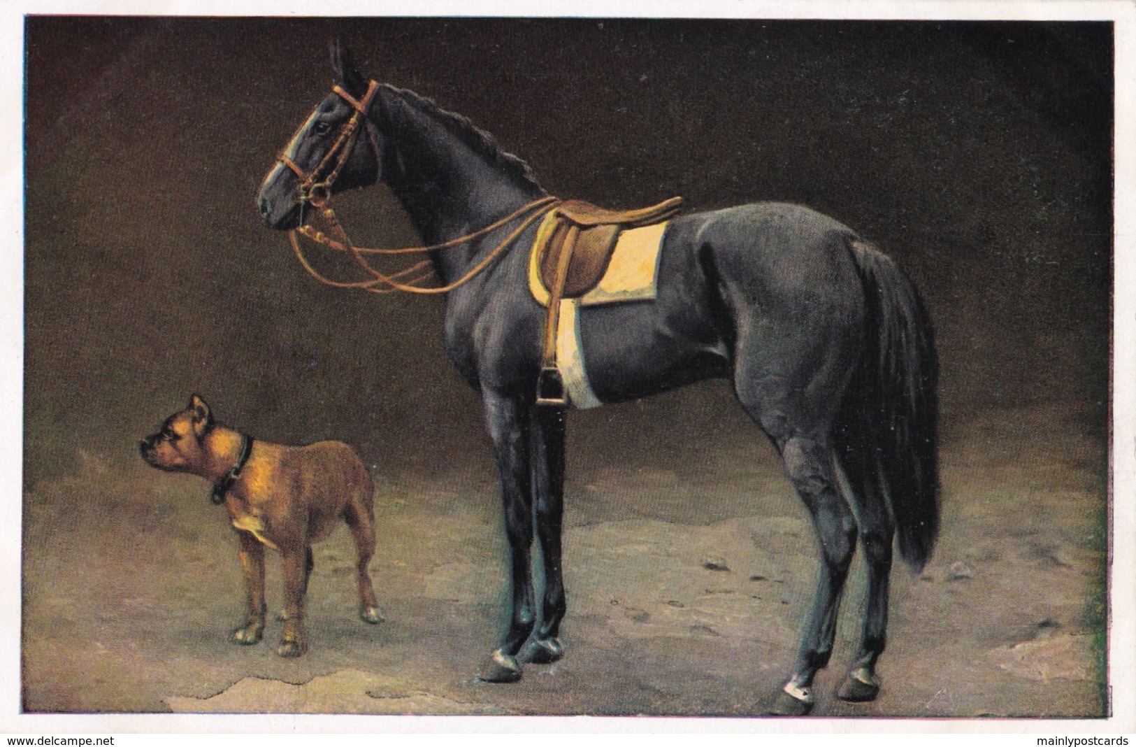 AS74 Animals - Horses - Black Horse With Boxer Dog - Paarden