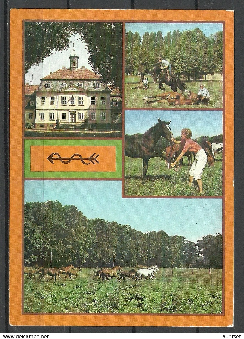 Deutschland DDR NEUSTADT Dosse Kr. Kyritz Stadt Der Pferde Horses (gesendet 1995, Mit Briefmarke) - Neustadt (Dosse)