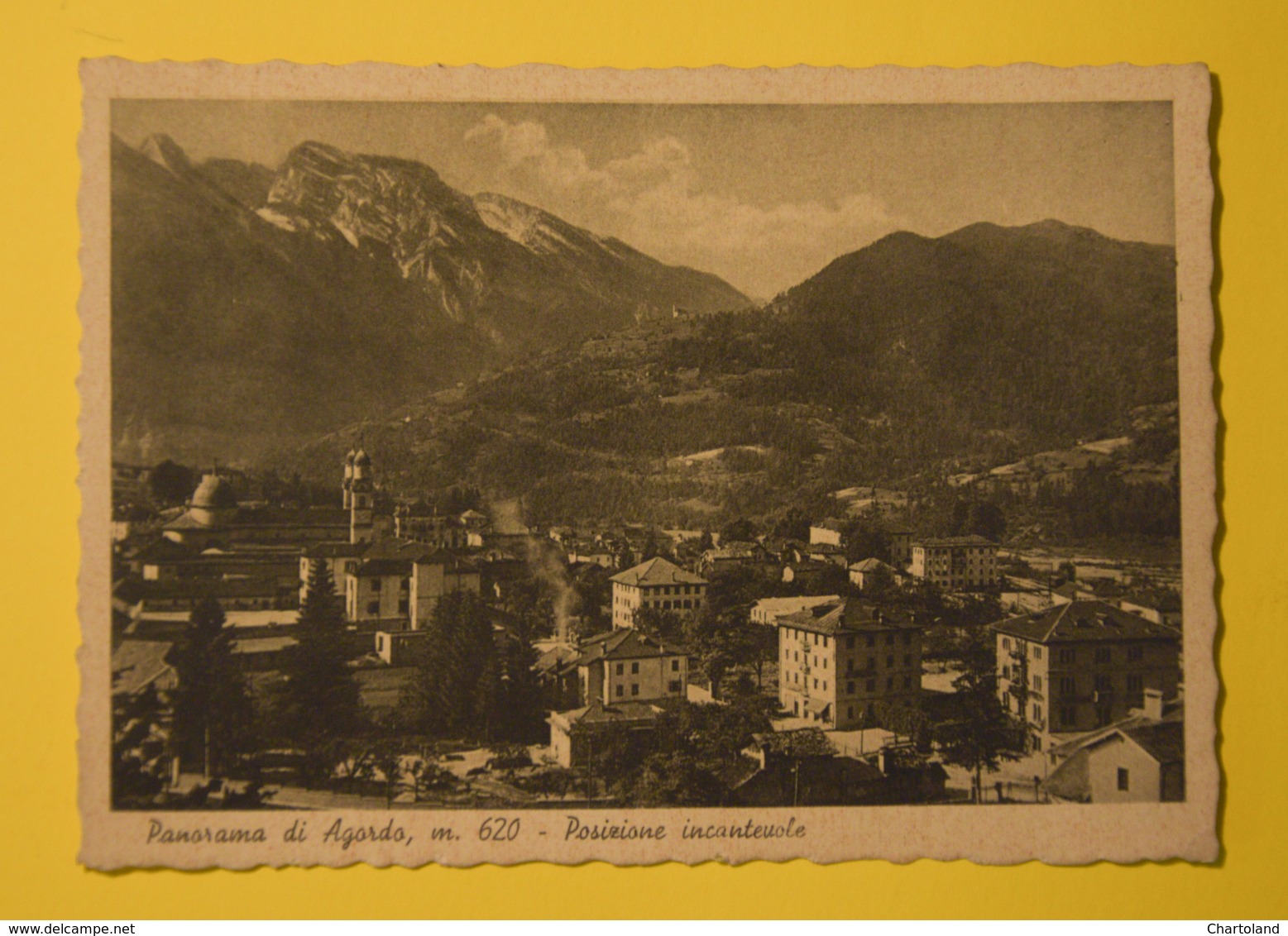 Cartolina Panorama Di Agordo 1940 - Belluno