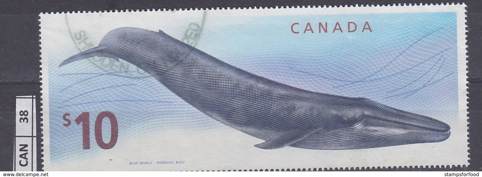 CANADA2010, Balena Blu, 10 $, Usato - Usati