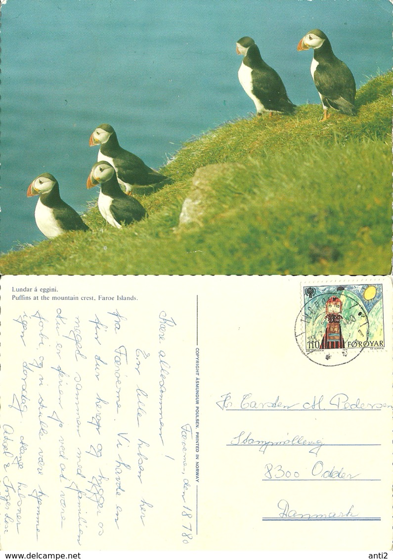 Faroe Islands 1980 Lundefugl, Puffins At The Mountain Crest, Cancelled - Islas Feroe
