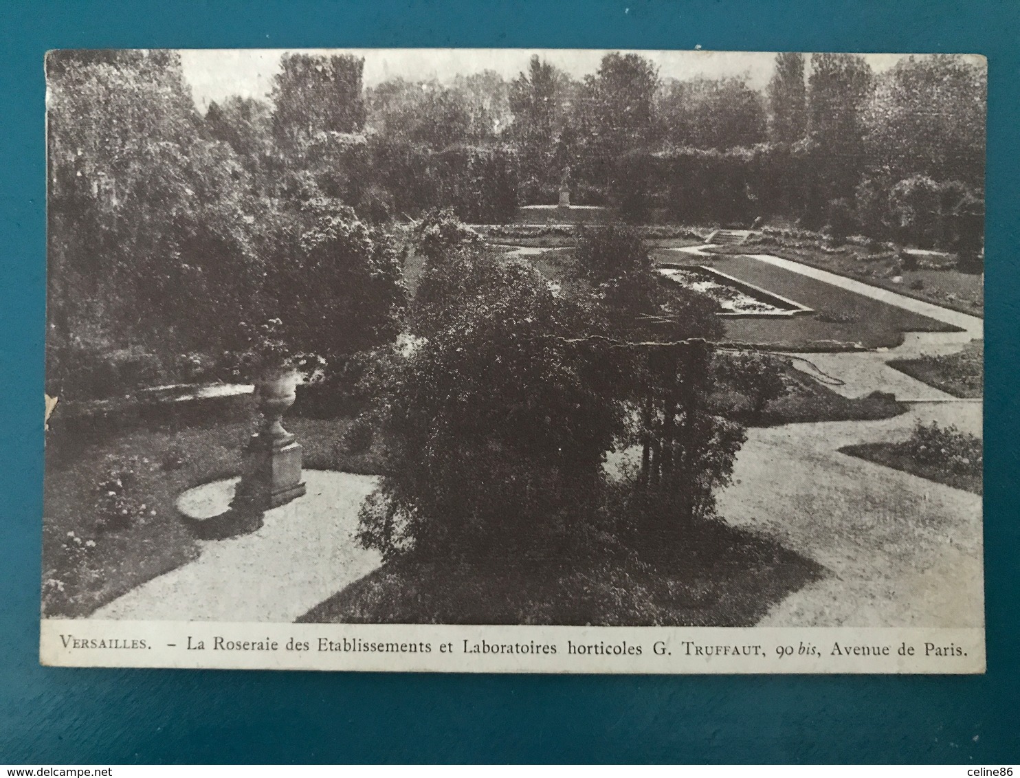 Versailles La Roseraie Des établissements Et Laboratoires Horticoles - Versailles (Château)