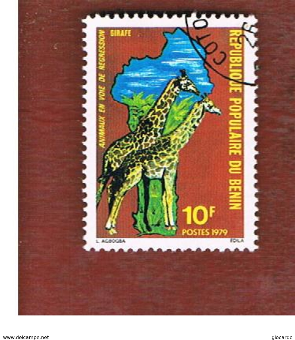 BENIN  - SG 760  -      1979  ENDANGERED ANIMALS: GIRAFFES   - USED ° - Benin – Dahomey (1960-...)