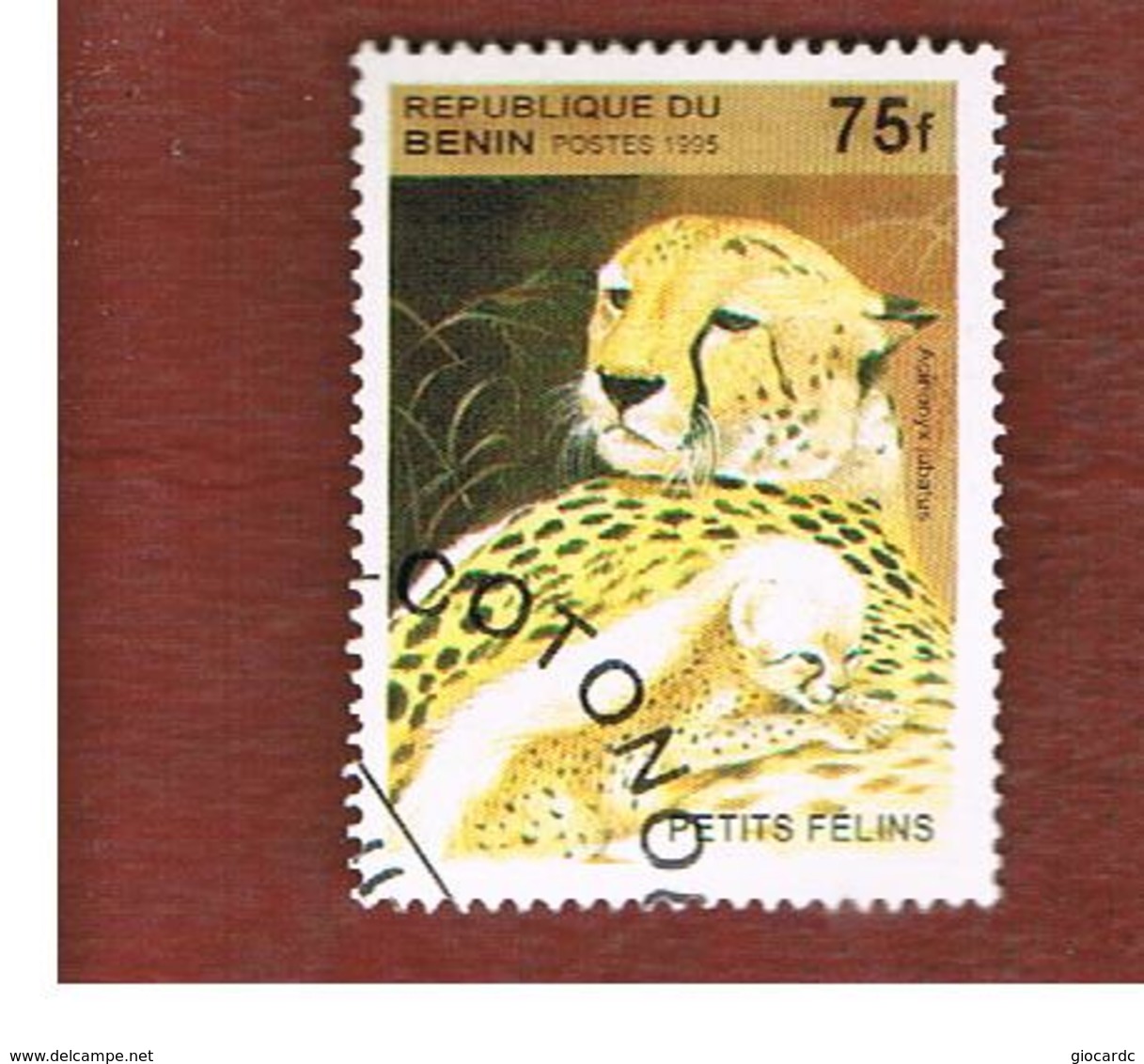 BENIN  - SG 1335  - 1995 ANIMALS: BIG CATS (CHEETAHS)   - USED ° - Benin – Dahomey (1960-...)